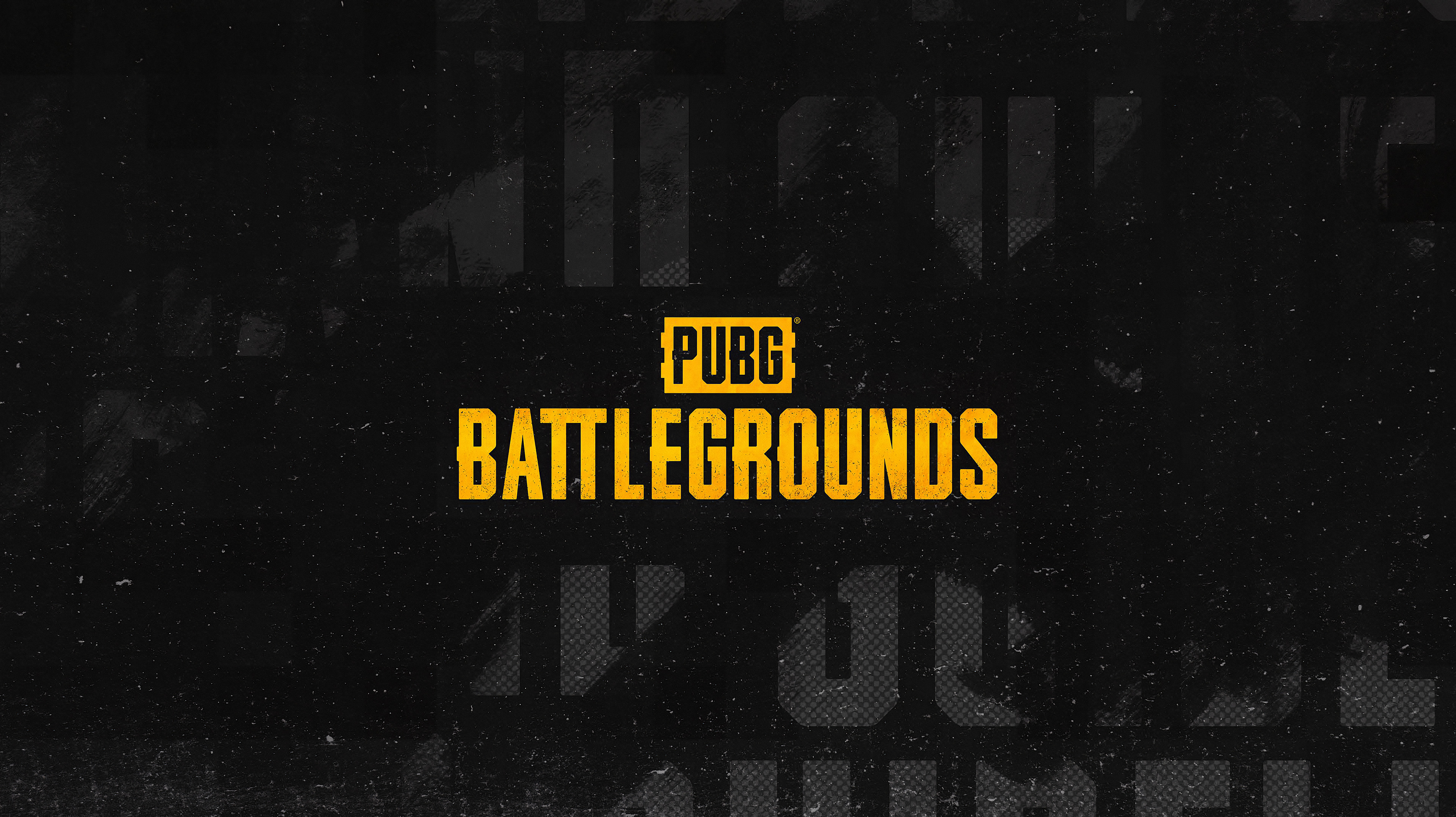 PUBG_BG_BRANDGUIDELINES_v02_r09_Page_01