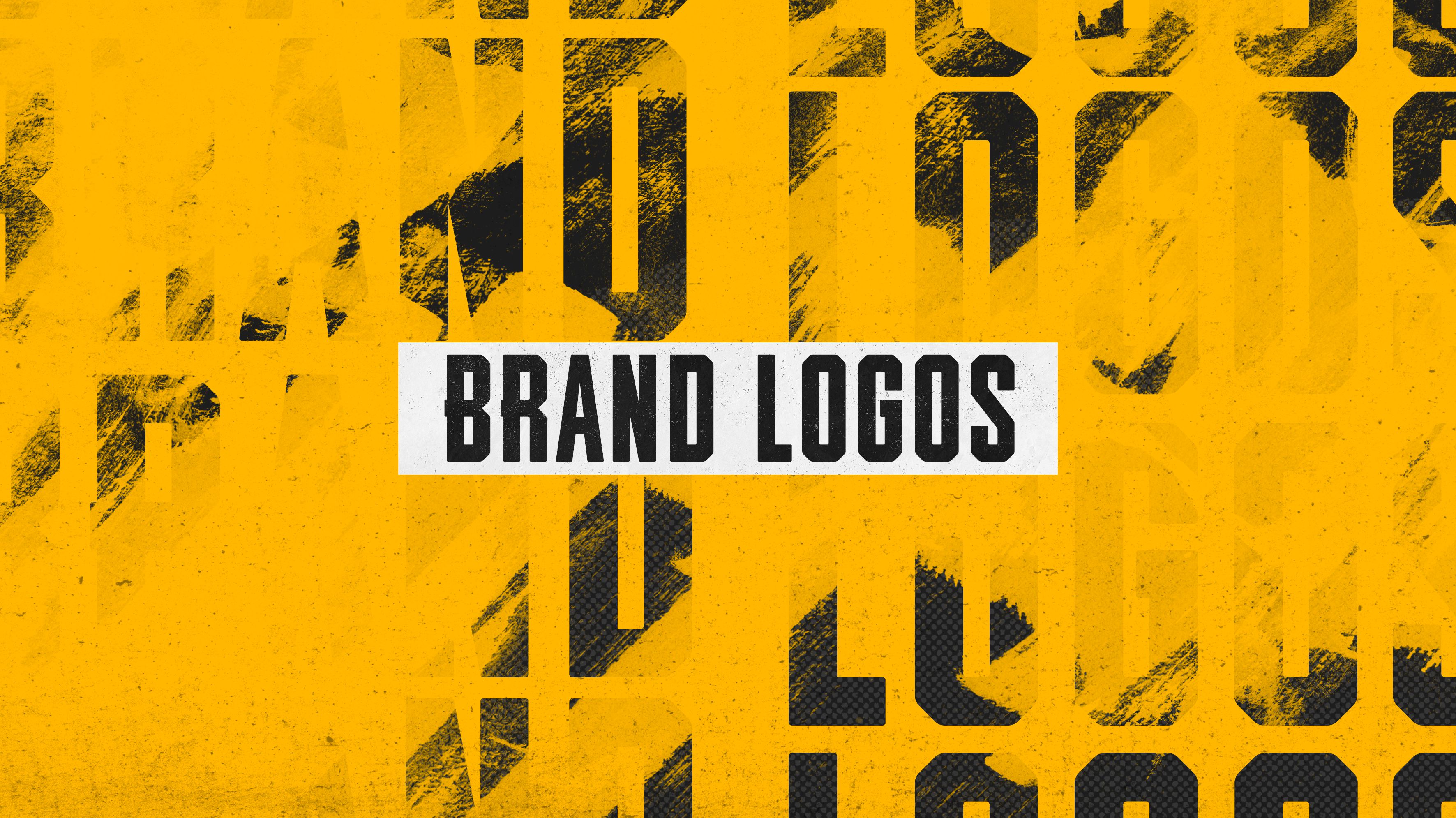 PUBG_BG_BRANDGUIDELINES_v02_r09_Page_03