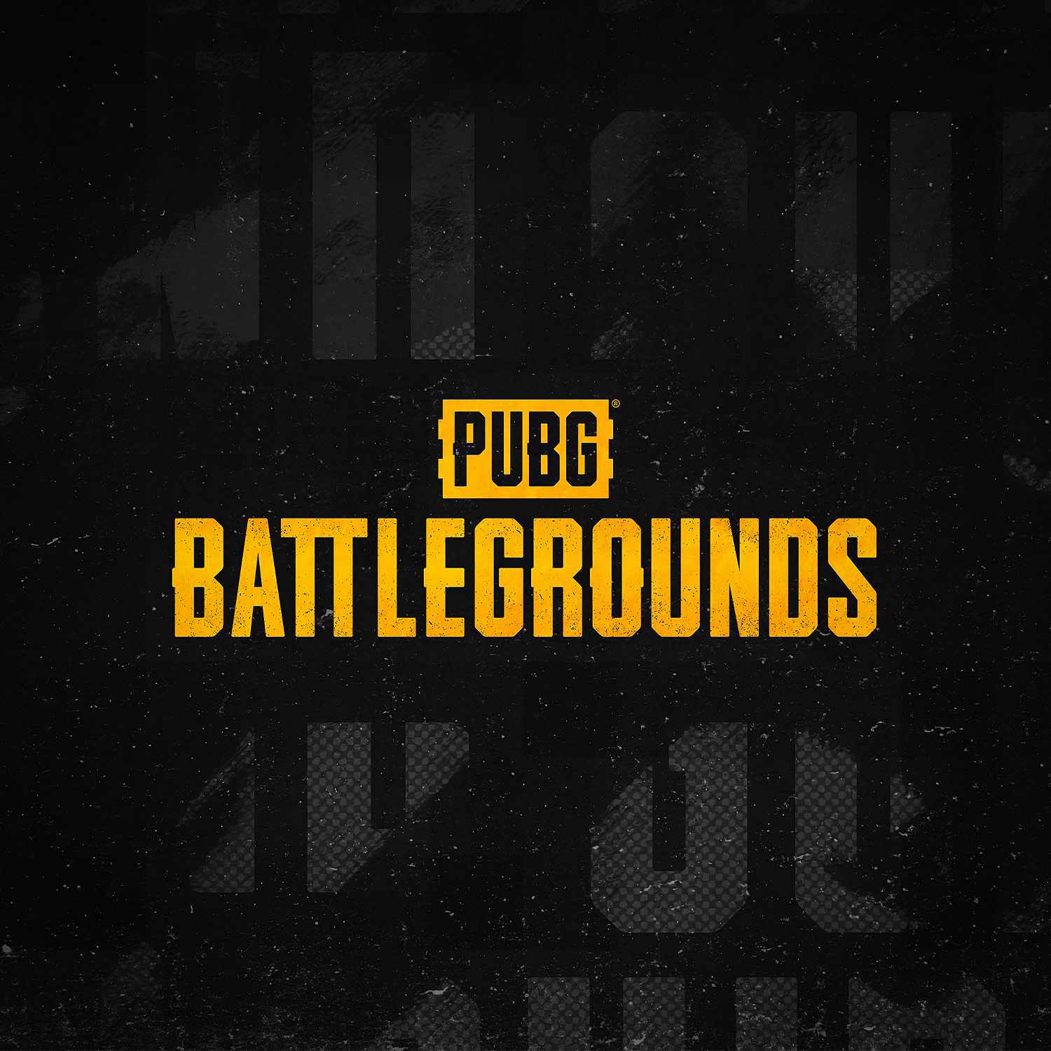 PUBG Battlegrounds Branding